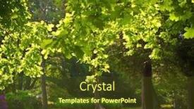  Presentation with infrared - Cool new slide deck with infrared-view-of-outdoor-public backdrop and a tawny brown colored foreground