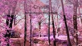  Presentation with infrared - Audience pleasing PPT theme consisting of infrared-view-of-outdoor-public backdrop and a coral colored foreground