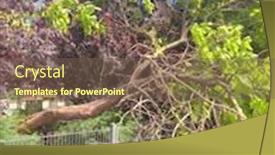  Presentation with infrared - PPT theme featuring infrared-view-of-outdoor-public background and a tawny brown colored foreground