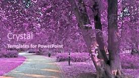  Presentation with infrared - Cool new PPT layouts with infrared-view-of-outdoor-public backdrop and a violet colored foreground