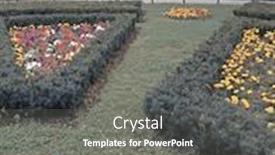  Presentation with infrared - PPT theme with infrared-view-of-outdoor-public background and a gray colored foreground