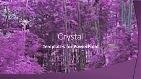  Presentation with infrared - Audience pleasing PPT theme consisting of infrared-view-of-outdoor-public backdrop and a violet colored foreground