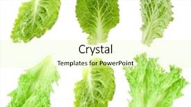  Presentation with fall leaves border white - Slide set with infusion sets - lettuce leaves isolated on white background and a  colored foreground