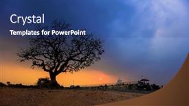  Presentation with india - PPT theme enhanced with ingle-big-tree-against-sunset background and a ocean colored foreground