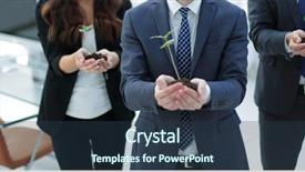  Presentation with show - Colorful PPT theme enhanced with initiate - business team show the first backdrop and a tawny brown colored foreground