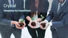  Presentation with group of three young girl - Presentation with initiate - three colleagues hold young shoots background and a  colored foreground