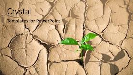  Presentation with sprout - PPT theme enhanced with initiatives - green sprout on barren soil background and a coral colored foreground