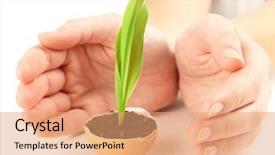  Presentation with eggshell - Colorful presentation enhanced with initiatives - human hands protecting young green backdrop and a coral colored foreground