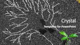  Presentation with growing tree - Cool new PPT layouts with initiatives - tree on asphalt road chalk backdrop and a dark gray colored foreground
