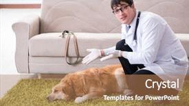  Presentation with vet - Beautiful slide deck featuring injured animal - vet doctor examining golden retriever backdrop and a  colored foreground