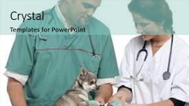  Presentation with paw - Theme having injured animal - vets wrapping a bandage background and a light blue colored foreground