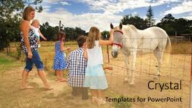  Presentation with nurse visiting family a new born - Presentation theme having injured horse on a farm background and a yellow colored foreground