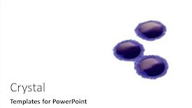  Presentation with ink - Slide set having ink-blots-isolated-on-white background and a white colored foreground