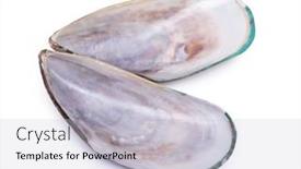  Presentation with empty - Audience pleasing slide deck consisting of inner-side-of-empty-opened backdrop and a lemonade colored foreground