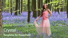  Presentation with forest fairy - Audience pleasing presentation design consisting of innocent young woman with pink fairy dress in a springtime bluebells forest backdrop and a tawny brown colored foreground