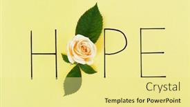  Presentation with hope - Slide set consisting of inscription hope with beige rose on green background background and a blonde colored foreground