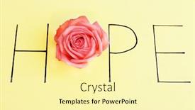  Presentation with pink green - Colorful slide set enhanced with inscription hope with pink rose on green background backdrop and a blonde colored foreground