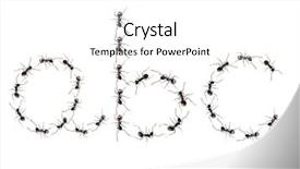  Presentation with ants - Theme enhanced with insect drawing - line of worker ants marching background and a white colored foreground