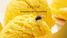  Presentation with insect - 