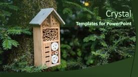  Presentation with insect - Beautiful slides featuring insect-hotel-on-the-tree backdrop and a tawny brown colored foreground