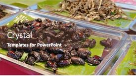  Presentation with insect - Colorful presentation enhanced with insect-selling-in-thailand-street backdrop and a tawny brown colored foreground