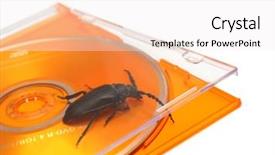  Presentation with software - Presentation theme enhanced with insect systems - bug in software metaphor concept background and a  colored foreground