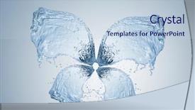  Presentation with insect - Colorful theme enhanced with insect wings - butterfly made of water splashes backdrop and a  colored foreground