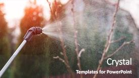  Presentation with garden - Colorful PPT theme enhanced with insecticide sprinkling on spring garden backdrop and a dark gray colored foreground