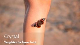  Presentation with butterfly - Slide deck with insectophobia-butterfly-sits background and a coral colored foreground