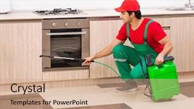  Presentation with pest control - Audience pleasing theme consisting of insects pests - professional contractor doing pest control backdrop and a coral colored foreground