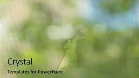  Presentation with transparen virtural screen - PPT theme having insectss - torn window screen closeup background and a yellow colored foreground