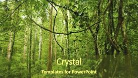  Presentation with tropical rainforest - Cool new PPT theme with inside earth - landscape of tropical rainforest backdrop and a tawny brown colored foreground