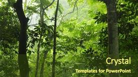  Presentation with forest morning - Audience pleasing slide set consisting of inside earth - tropical rain forest view backdrop and a tawny brown colored foreground