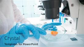  Presentation with food laboratory - Presentation featuring inspection-of-meat-and-fish background and a light blue colored foreground