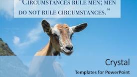  Presentation with ancient greek - Colorful slide set enhanced with inspirational quote by ancient greek backdrop and a light blue colored foreground