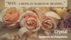  Presentation with philosopher - Audience pleasing PPT layouts consisting of inspirational quote by ancient greek backdrop and a coral colored foreground