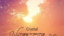  Presentation with quote - Theme enhanced with inspirational quote - never give up background and a coral colored foreground