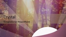  Presentation with quote - Amazing presentation design having inspirational typographic quote - live the moment backdrop and a coral colored foreground