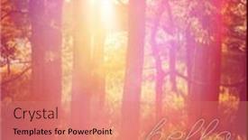  Presentation with quote - PPT theme having inspirational-typographic-quote-november background and a  colored foreground