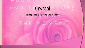  Presentation with inspirational - Colorful presentation theme enhanced with inspirational typographic quote - stop thinking about the past and the future live for the moment backdrop and a lemonade colored foreground