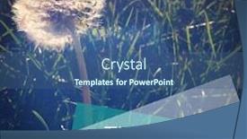  Presentation with quote - Beautiful slides featuring inspirational-typographic-quote backdrop and a ocean colored foreground