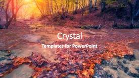  Presentation with autumn leaves - Slide deck consisting of instagram toning effect beauty world background and a coral colored foreground