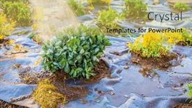  Presentation with mulch - Presentation theme having installing-weed-control-fabric-material background and a yellow colored foreground