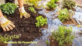  Presentation with mulch - Presentation theme consisting of installing-weed-control-fabric-material background and a tawny brown colored foreground