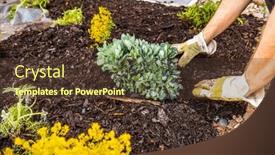  Presentation with mulch - PPT theme consisting of installing-weed-control-fabric-material background and a tawny brown colored foreground
