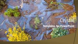  Presentation with mulch - Presentation design having installing-weed-control-fabric-material background and a seafoam green colored foreground