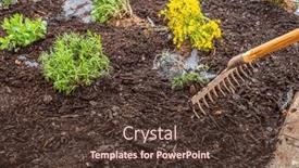  Presentation with mulch - PPT theme consisting of installing-weed-control-fabric-material background and a tawny brown colored foreground