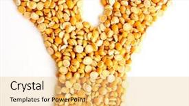  Presentation with peas - Audience pleasing slide deck consisting of instinal - peas initials letter y backdrop and a  colored foreground