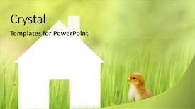  Presentation with dream - Presentation theme enhanced with man with vape at black studio background closeup young guy smoking e-cigarette to quit tobacco nicotine free smoking and vapor concept copy space background and a black colored foreground