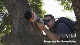  Presentation with closeup of sugarcane plants - Amazing PPT theme having intelligent agents - closeup of a paparazzi photographer backdrop and a dark gray colored foreground